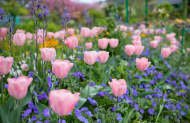 2025 서울국제정원박람회