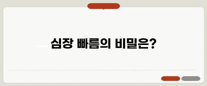 빈맥 증상 심장이 빨리 뛰는 이유