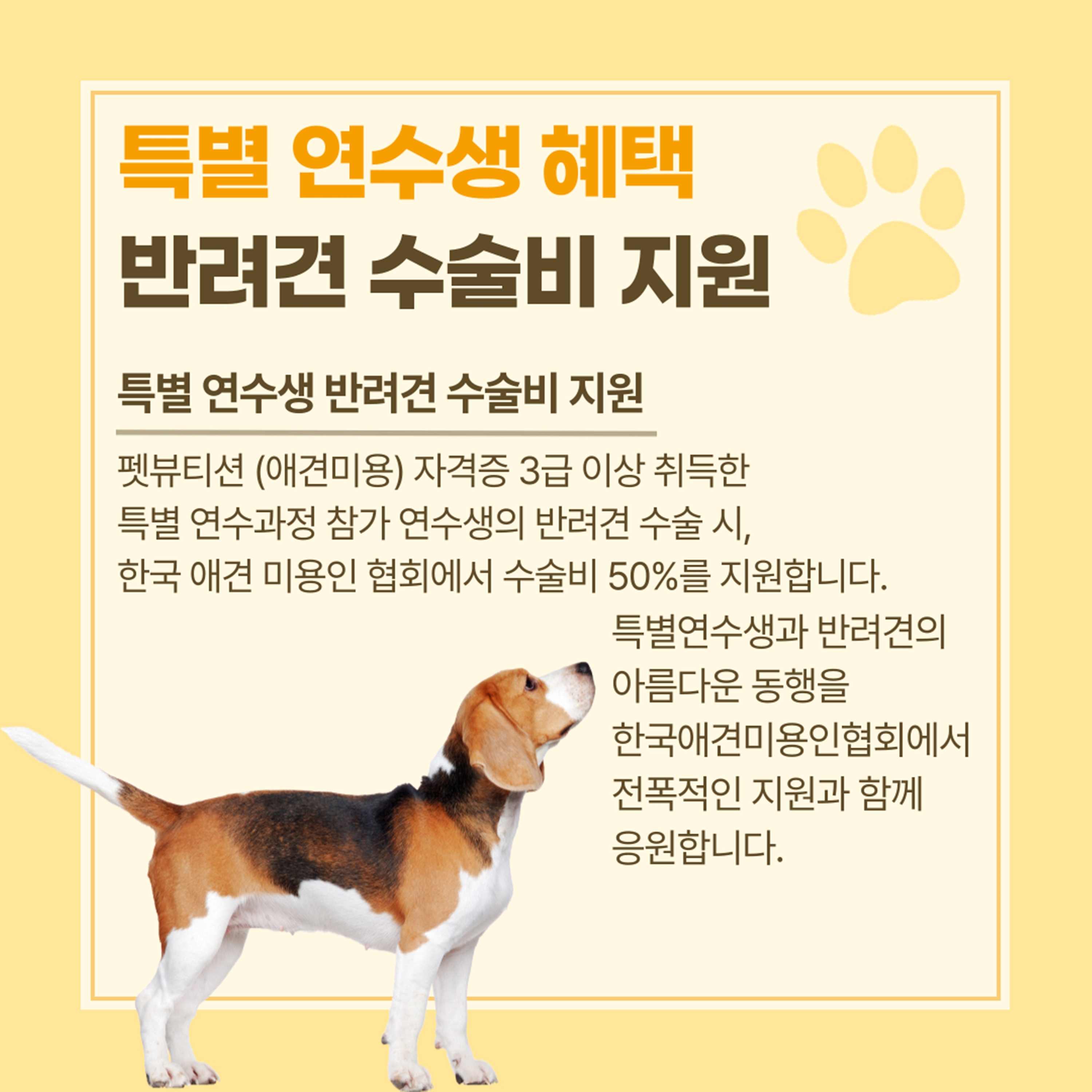 봉선동애견미용국비지원