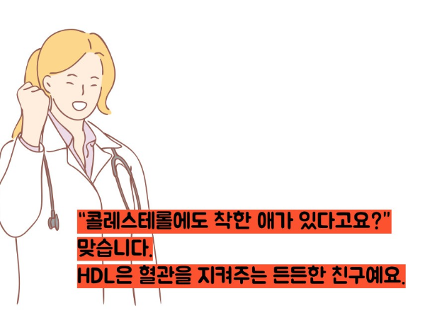 hdl콜레스테롤 정상수치