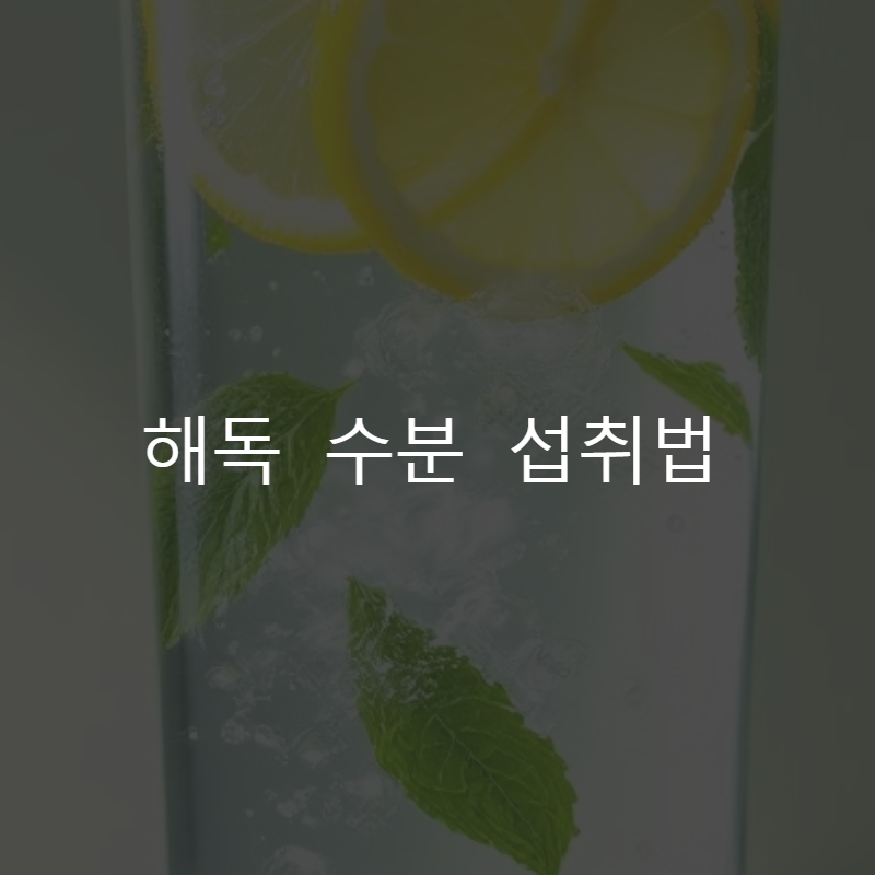 해독 수분 섭취법: 효과적인 디톡스를 위한 하루 물 섭취 가이드