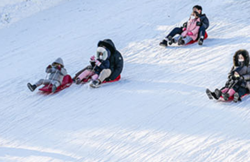 서울랜드 눈썰매장