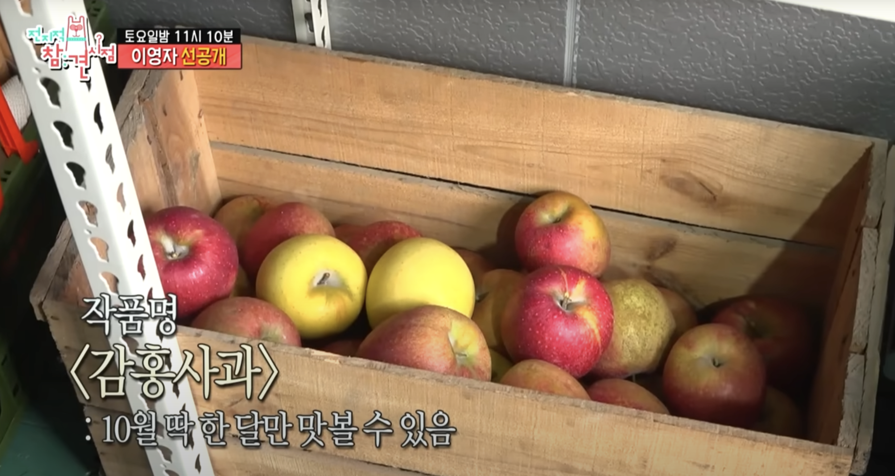 이영자 감홍사과