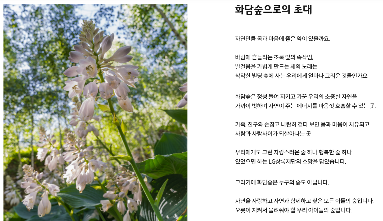 2026 화담숲 벚꽃 개화시기 + 예약 꿀팁 (실제 방문 후기)