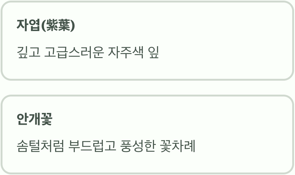 이름에 담긴 두 가지 매력 포인트