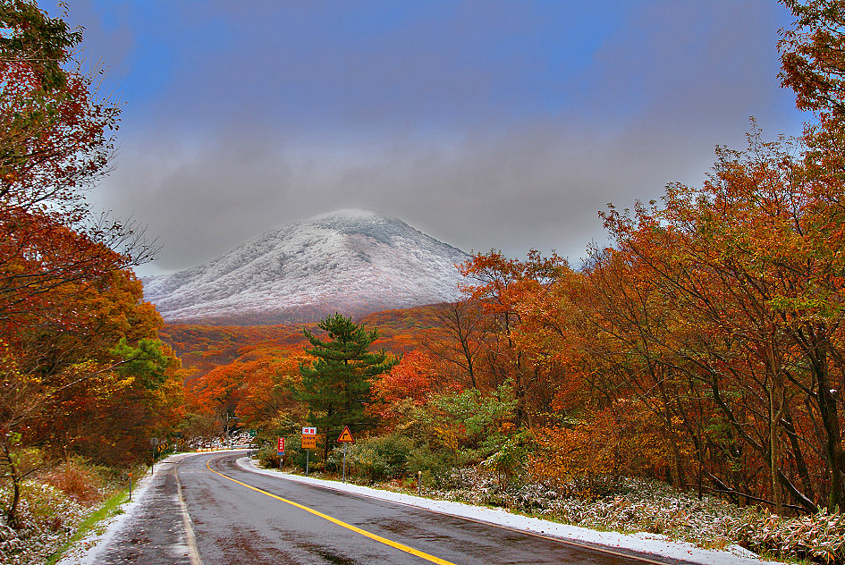 단풍과 설산