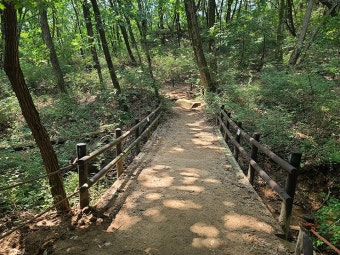 서울 둘레길 코스 정리 완벽가이드