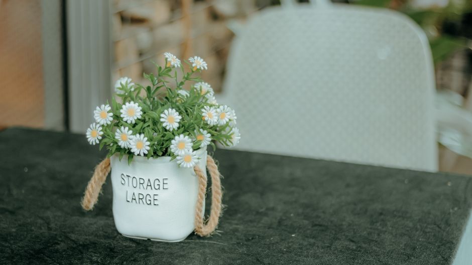 Potted daisies in a storage bag on a green table, perfect for decor themes.