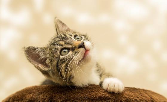 [폭염주의보] &lsquo;절대&rsquo; 차량에 두면 안 되는 6가지!