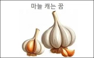 마늘 캐는 꿈