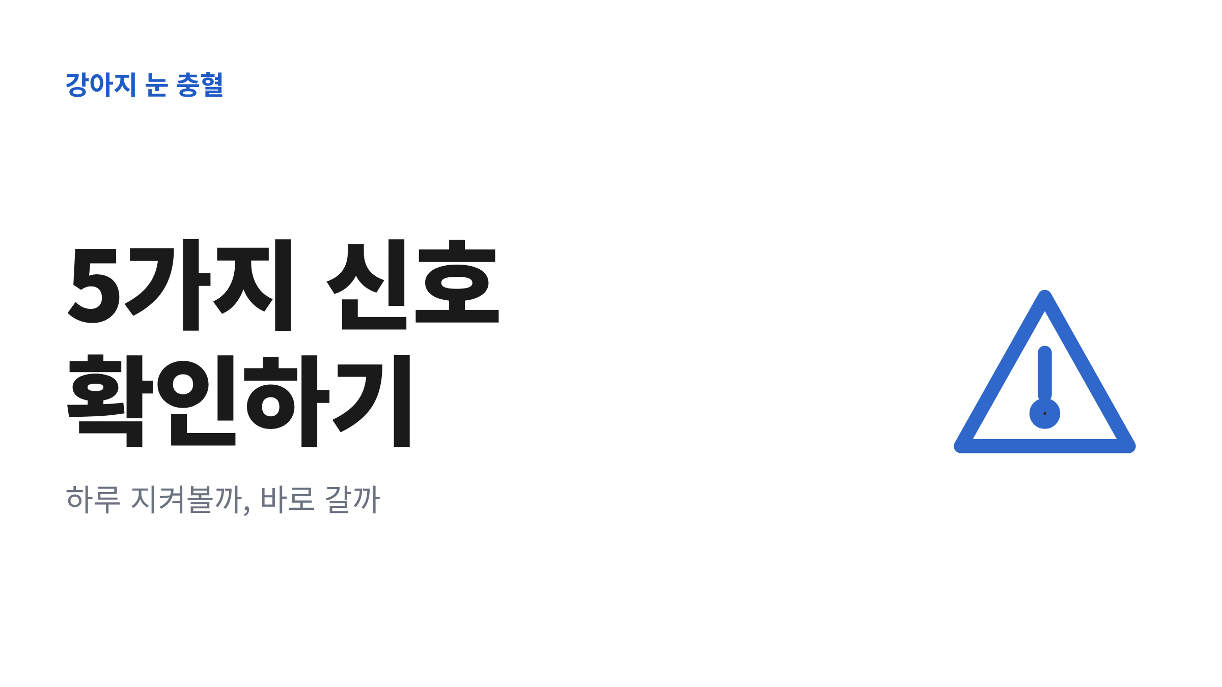 흰자가 붉게 충혈된 강아지 눈과 관찰·당일 진료·즉시 진료로 나뉜 응급도 단계