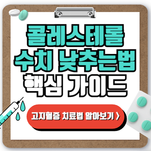 콜레스테롤 수치 낮추는 방법