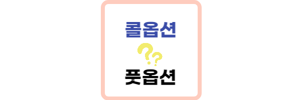 콜옵션 풋옵션