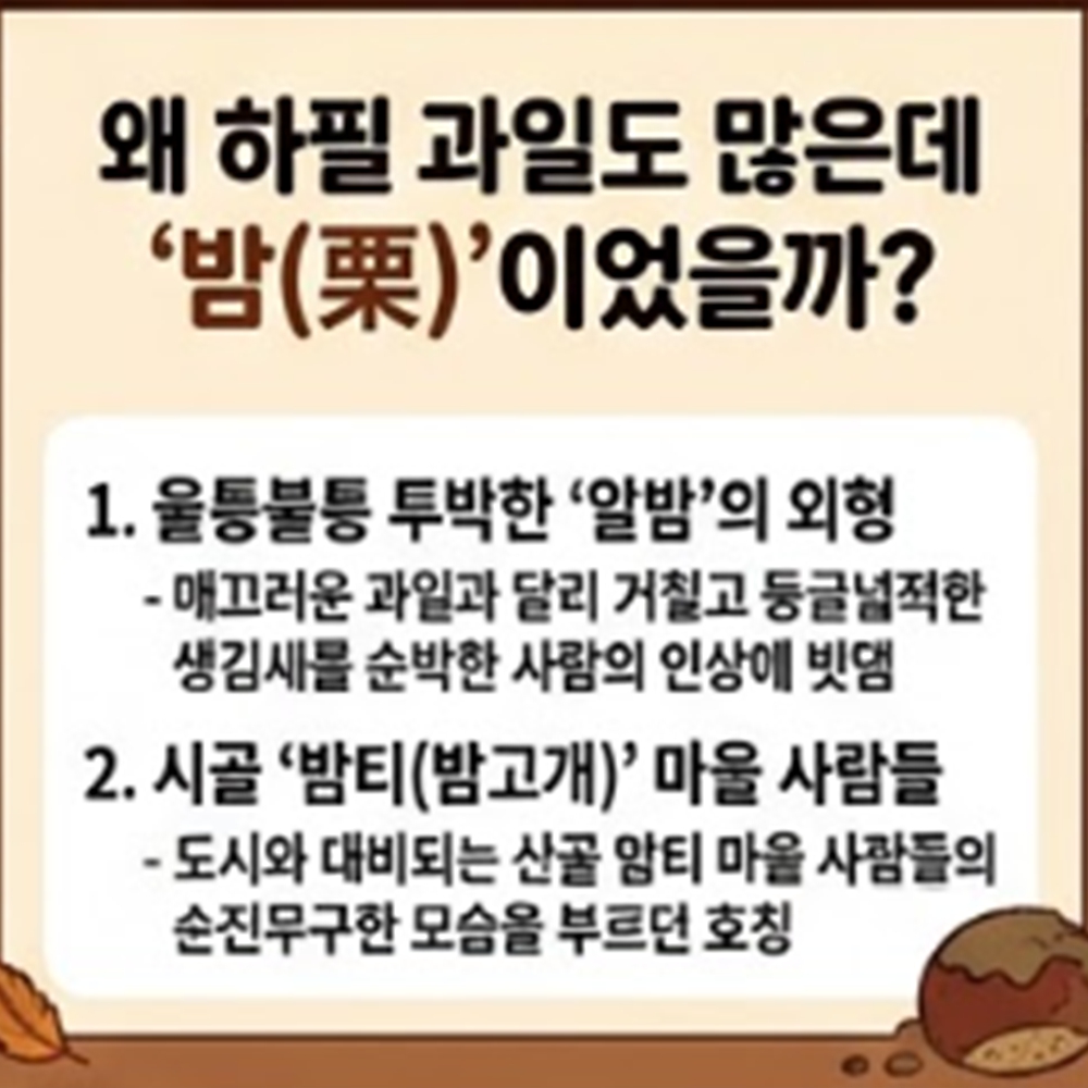 밤티 뜻