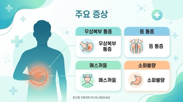 담낭 제거 수술 필요한 경우 담석 담낭염 담낭용종