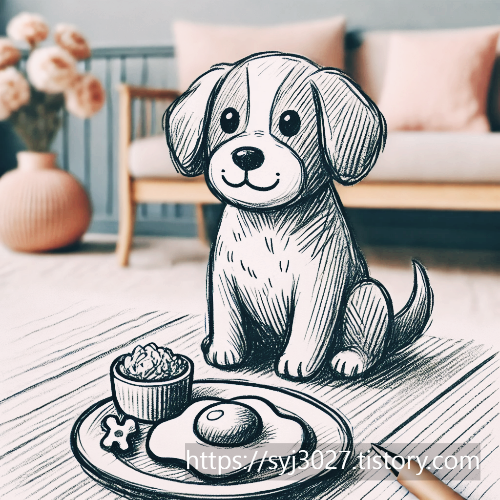 Alt 속성 문제 해결 설명 이미지