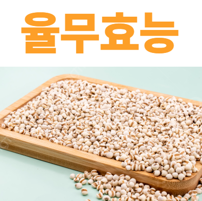 율무 효능