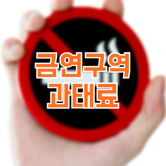 금연구역 과태료 구간 흡연구역 확대