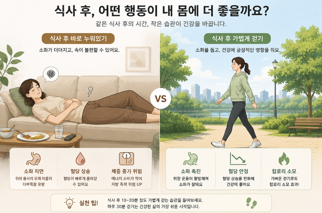 식후 바로 눕기 식후 습관 생활관리