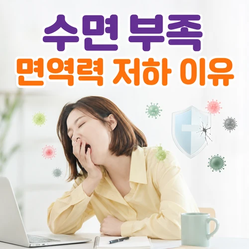 수면 부족 면역력 저하 이유
