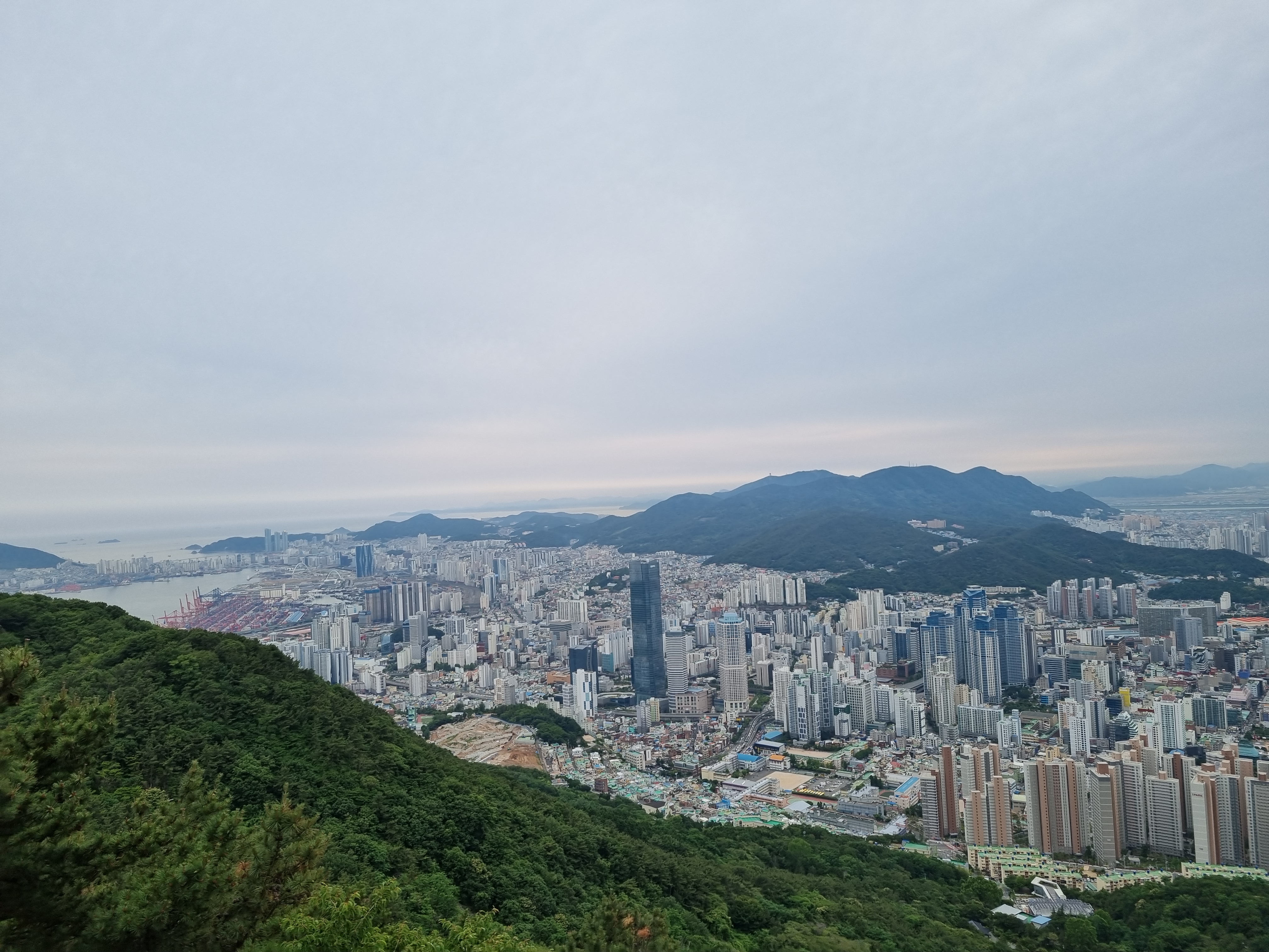 라이트비x 임도 테스트