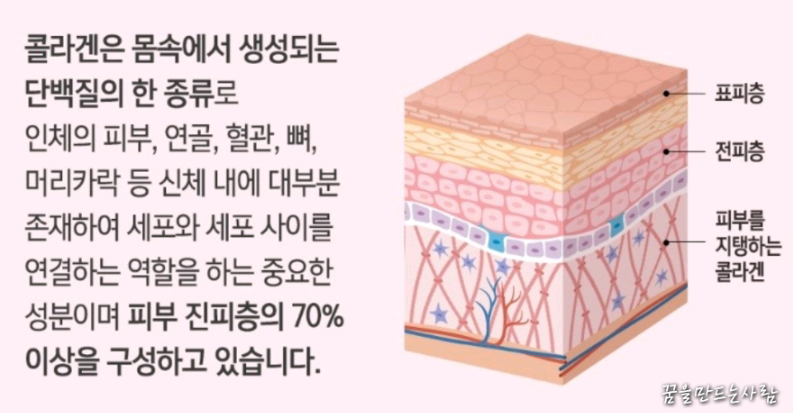 콜라겐