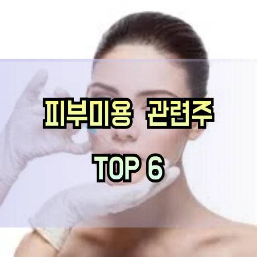 피부미용-관련주