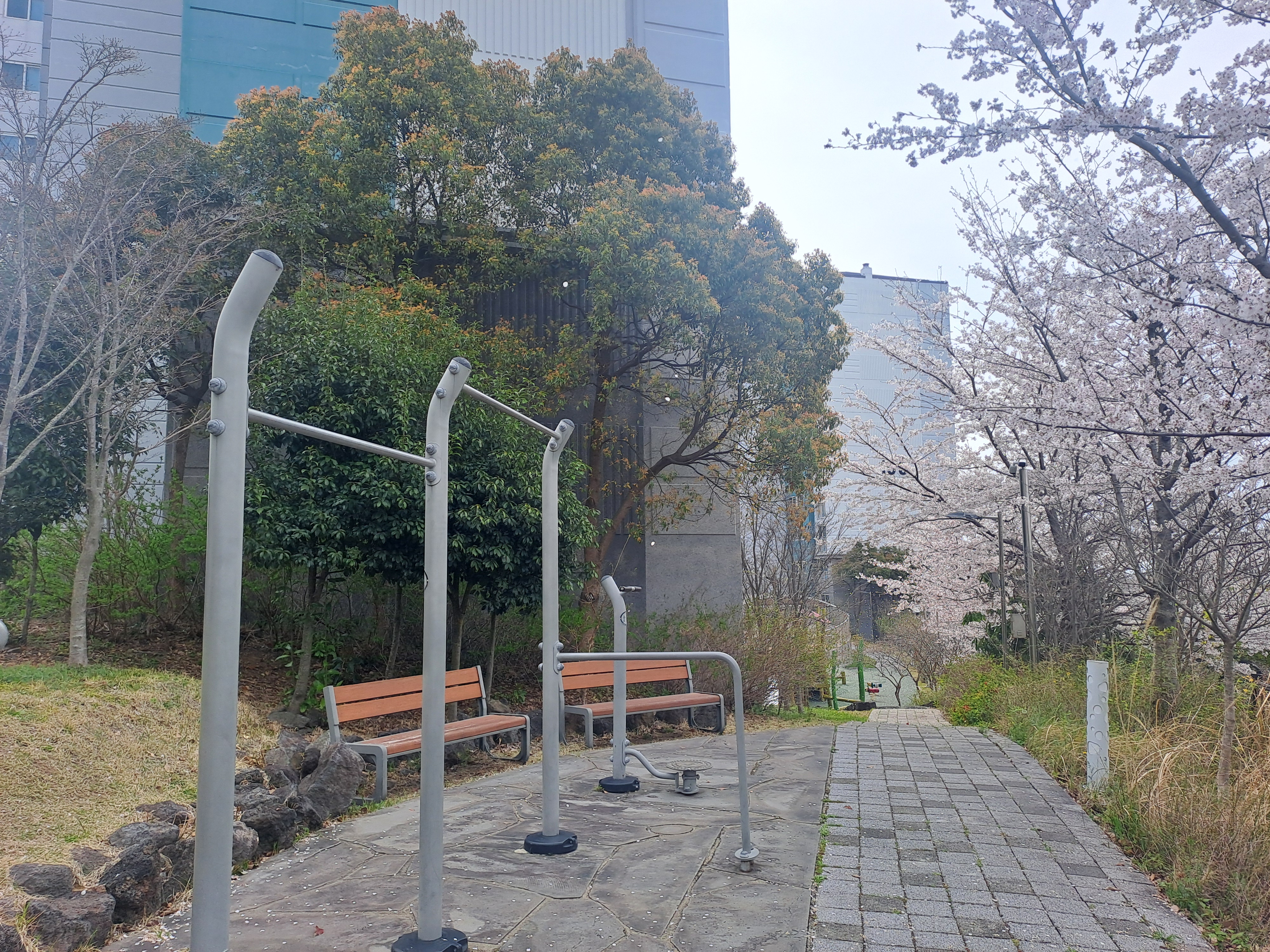 철봉 매달리기 운동 효과, 완벽 가이드: 초보부터 고급까지