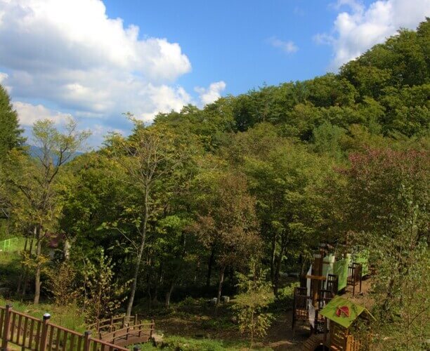 숲나들e 국립자연휴양림 선착순 예약 및 주말 추첨제 안내 관련 사진