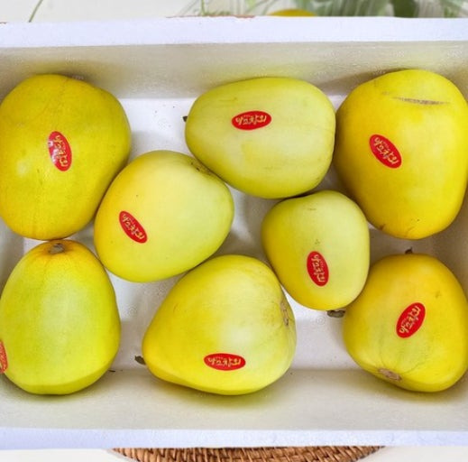 냉부해 입짦은햇님 망고참외 가격 판매하는 곳