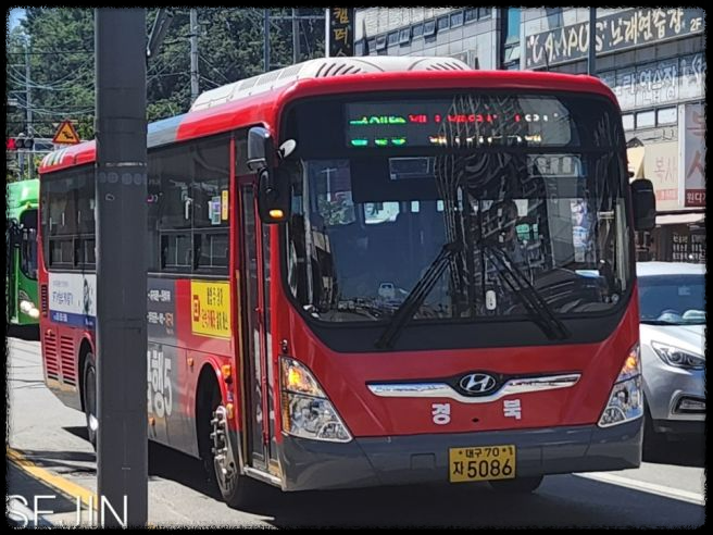 경북 지역 활성화를 위한 무료 버스 도입과 확산