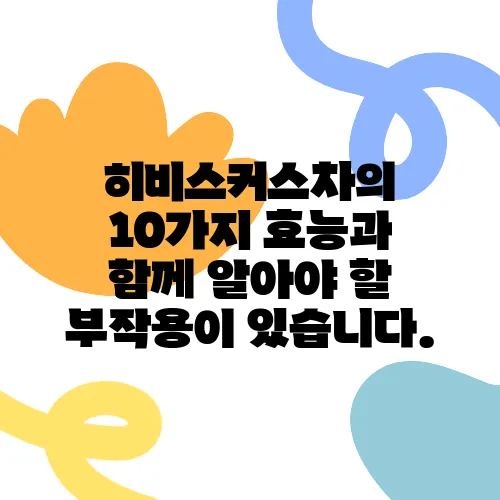 히비스커스차의 10가지 효능과 함께 알아야 할 부작용이 있습니다.