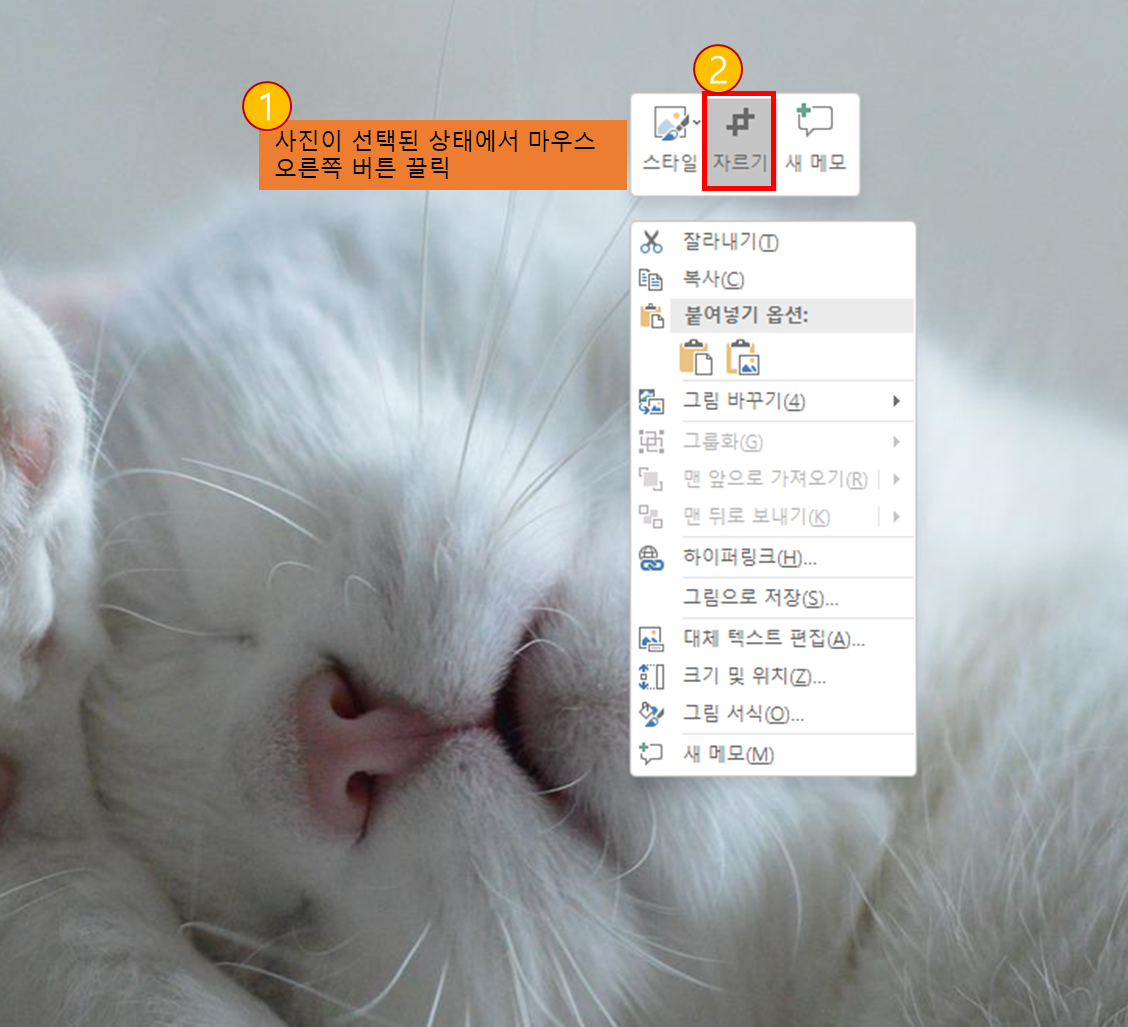 사진 선택 후 마우스 오른쪽 자르기 선택