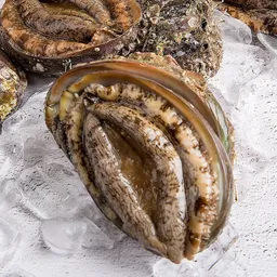 중복 보양식 대구 장어탕 맛집