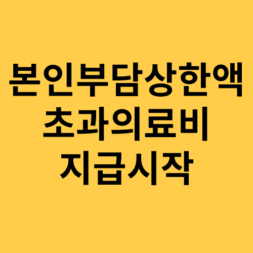 본인부담상한액 초과의료비지급시작