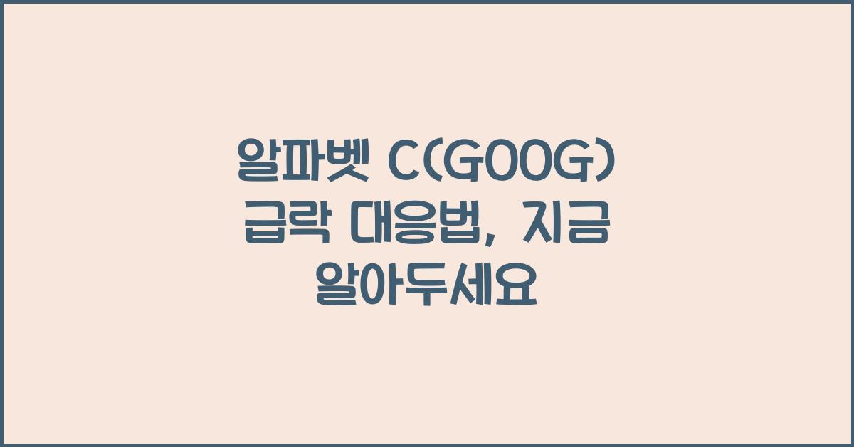 알파벳 C(GOOG) 급락 대응법
