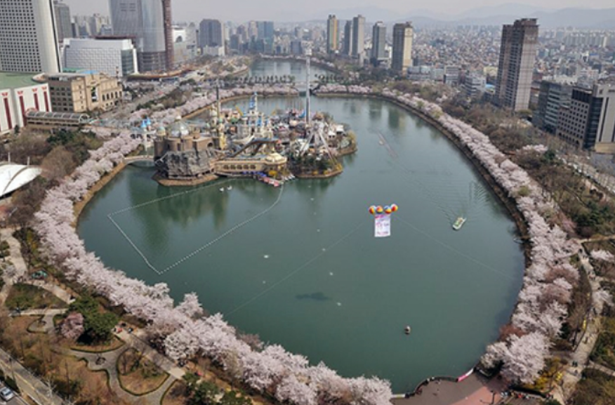 석촌호수 벚꽃길