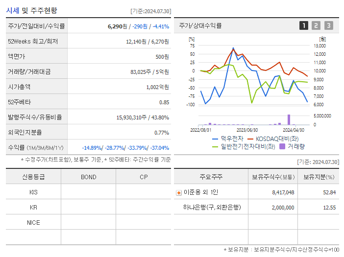 덕우전자_기업개요