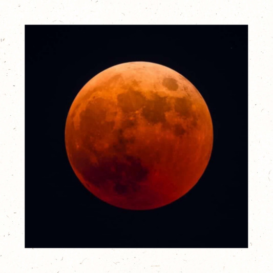 반영식 시작 P1 00:28:21