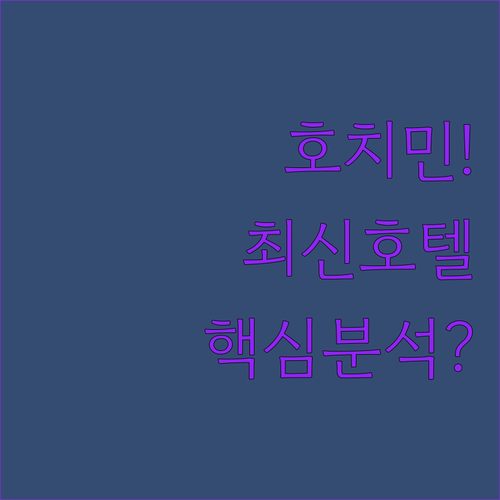 2024년 2025년 호치민 신규 호..