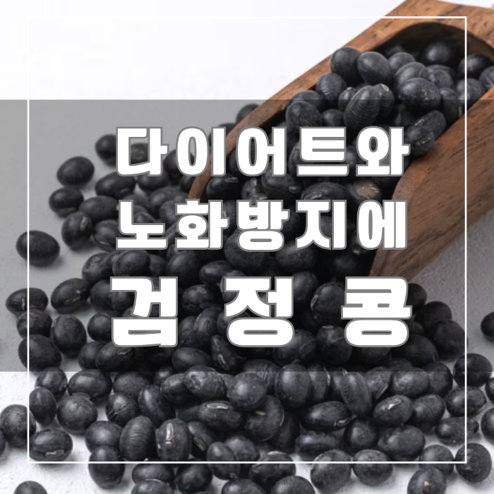 다이어트와 노화방지에 검정콩
