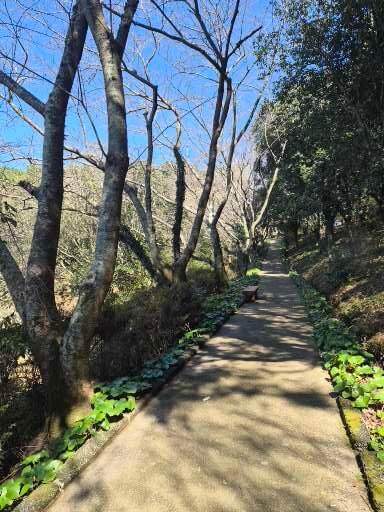 제주 광이오름