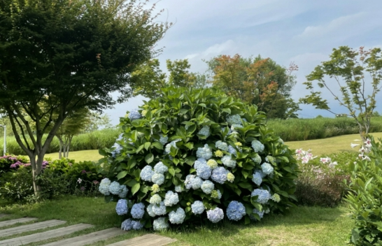 순천만국제정원박람회