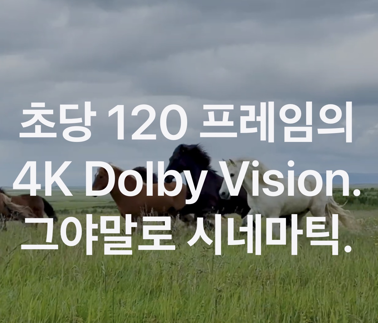 아이폰16 가격, 카메라 기능 - 4K 120Hz 지원, 캡쳐버튼