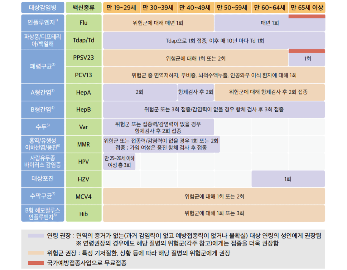 성인예방접종 인플루엔자, 폐렴사슬알균, 대상포진 등
