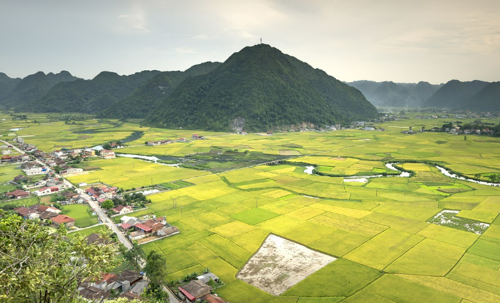 아파트 빌라 공시가격 및 토지 공시지가