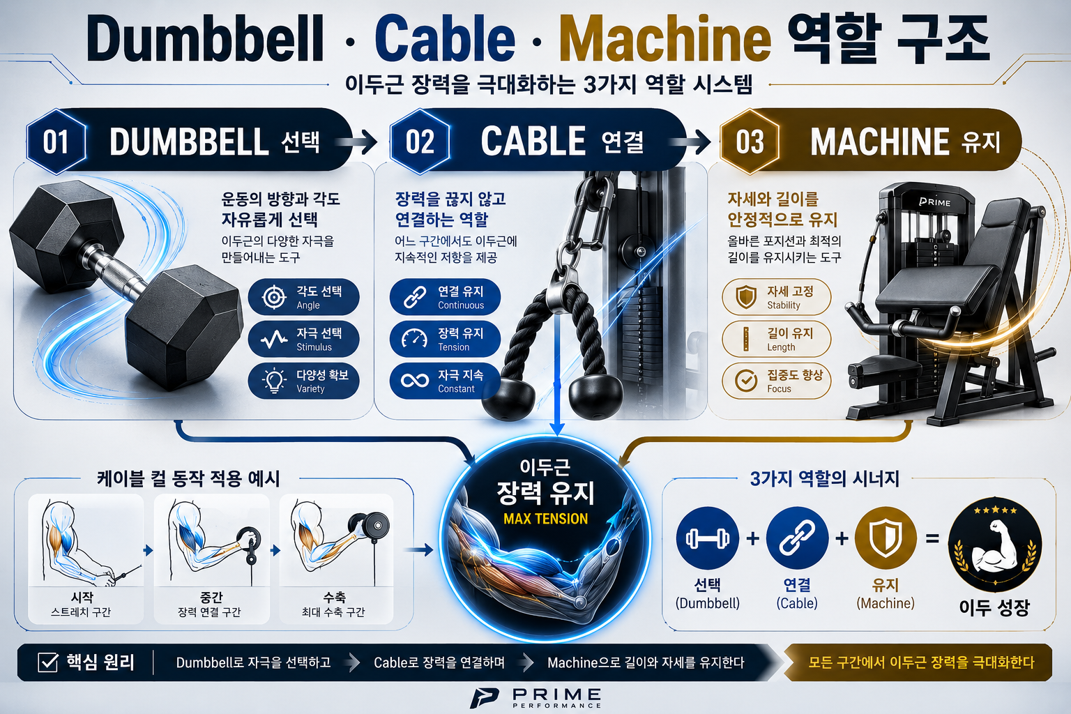 Dumbbell &middot; Cable &middot; Machine 역할 구조