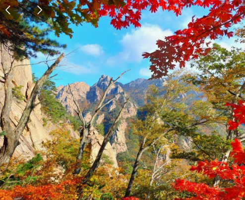 가을에 꼭 가야하는 단풍이 유명한곳 BEST 5곳