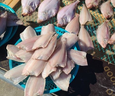 울산-정자-반건조가자미-재원호건어물