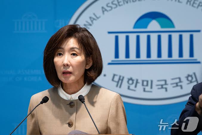 나경원 DMZ 지뢰 결의안 발의